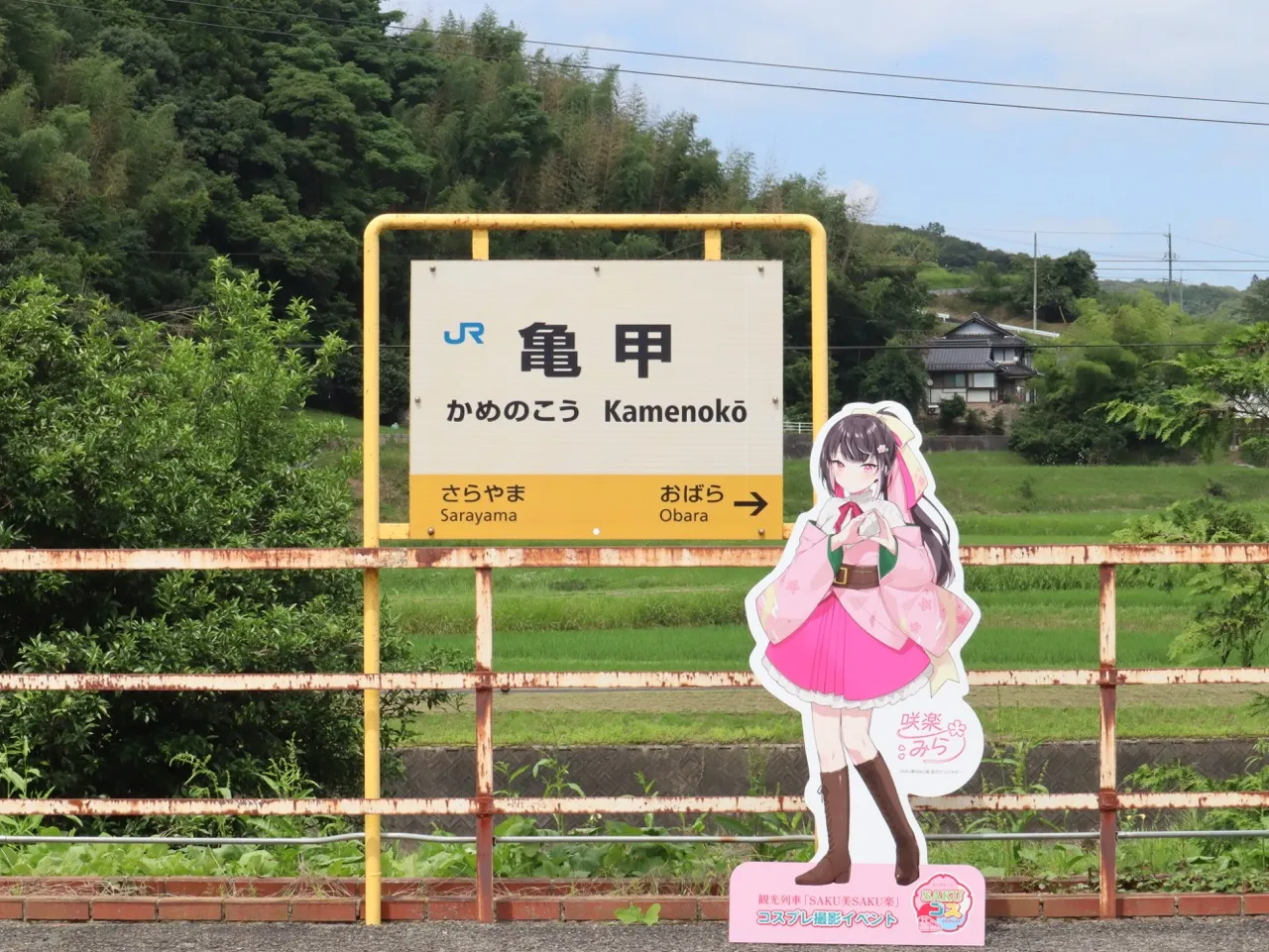 撮影イメージ画像
