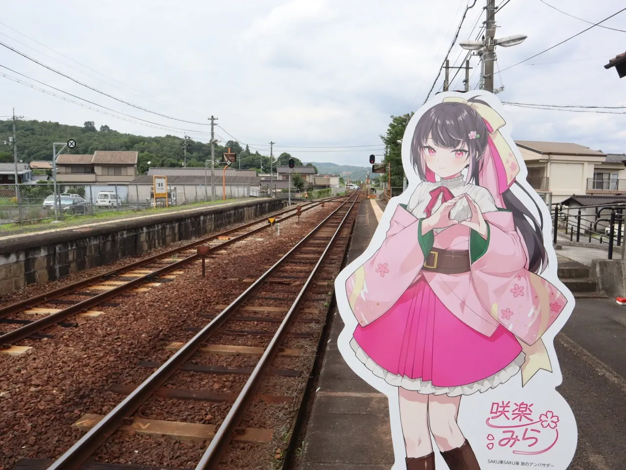 撮影イメージ画像