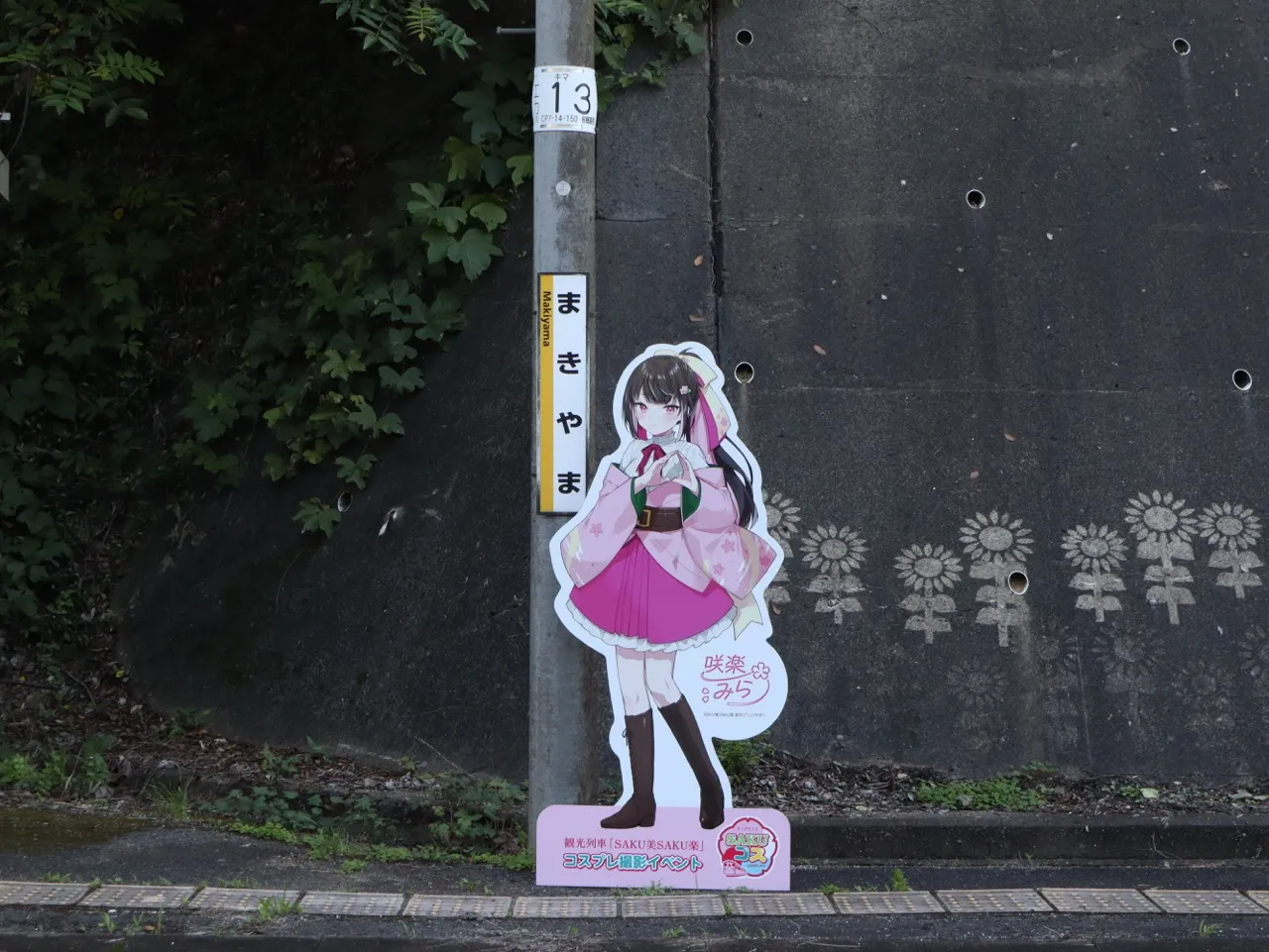 撮影イメージ画像