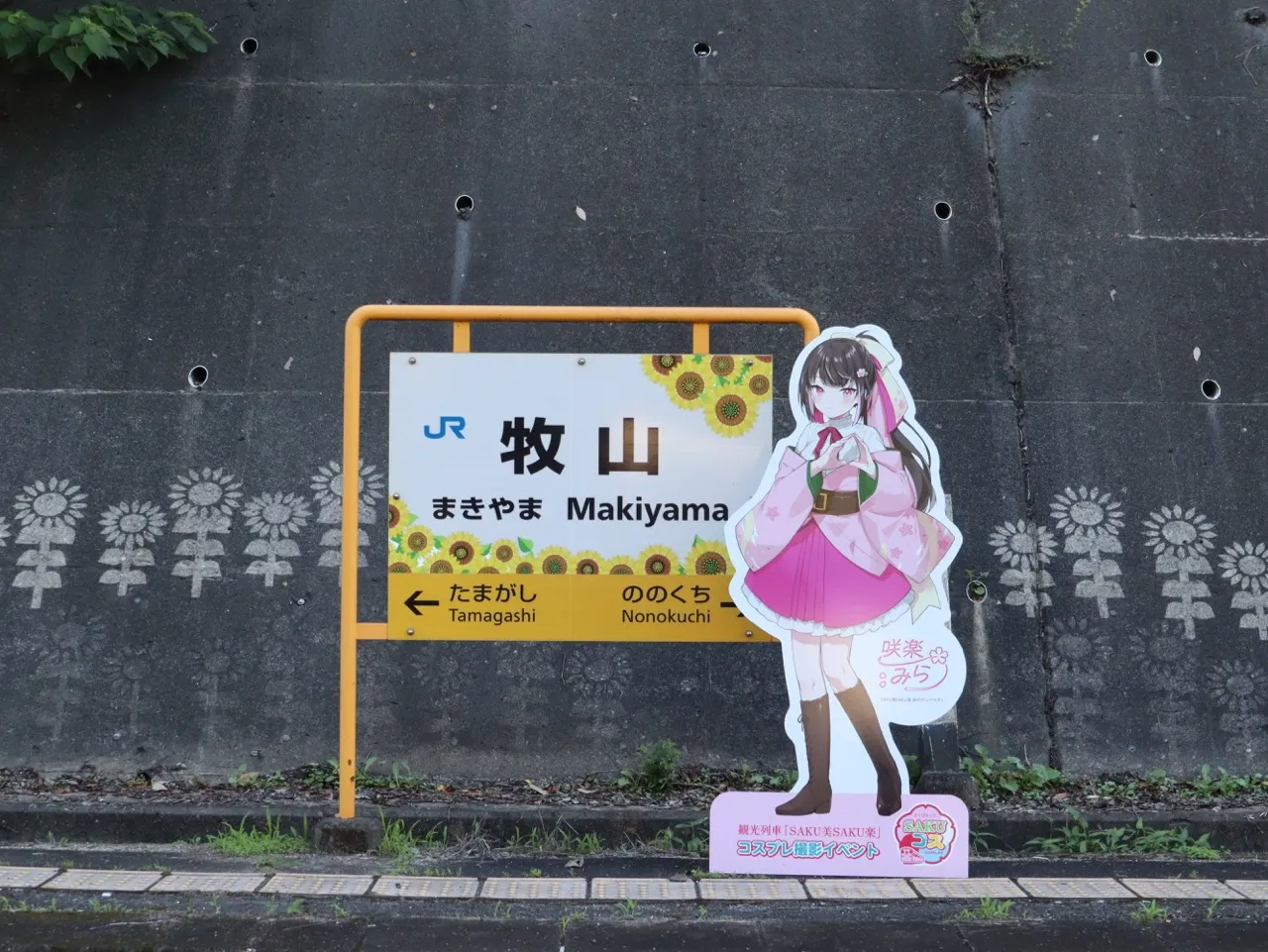 撮影イメージ画像
