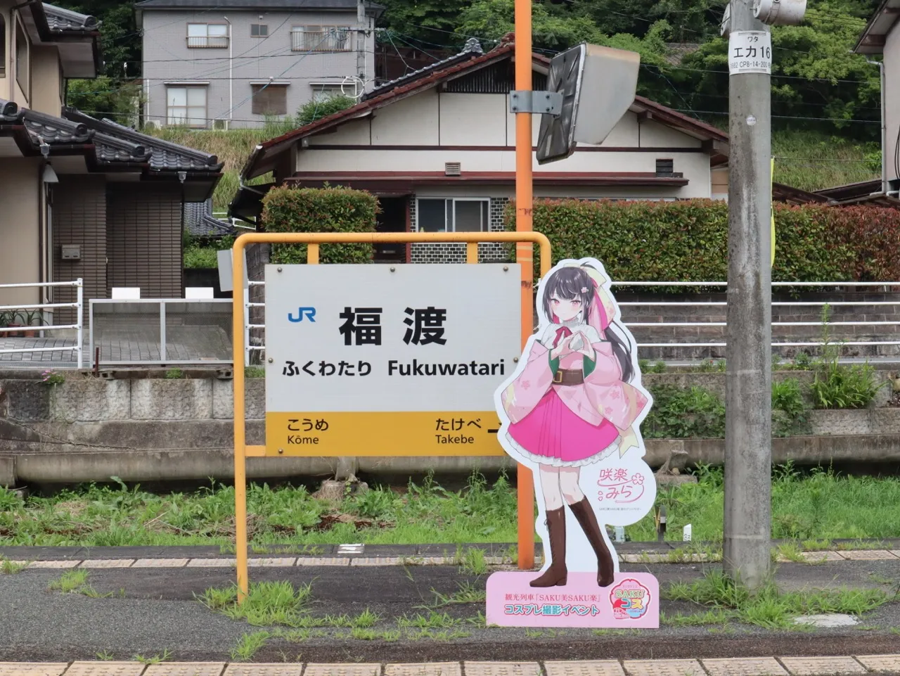 撮影イメージ画像