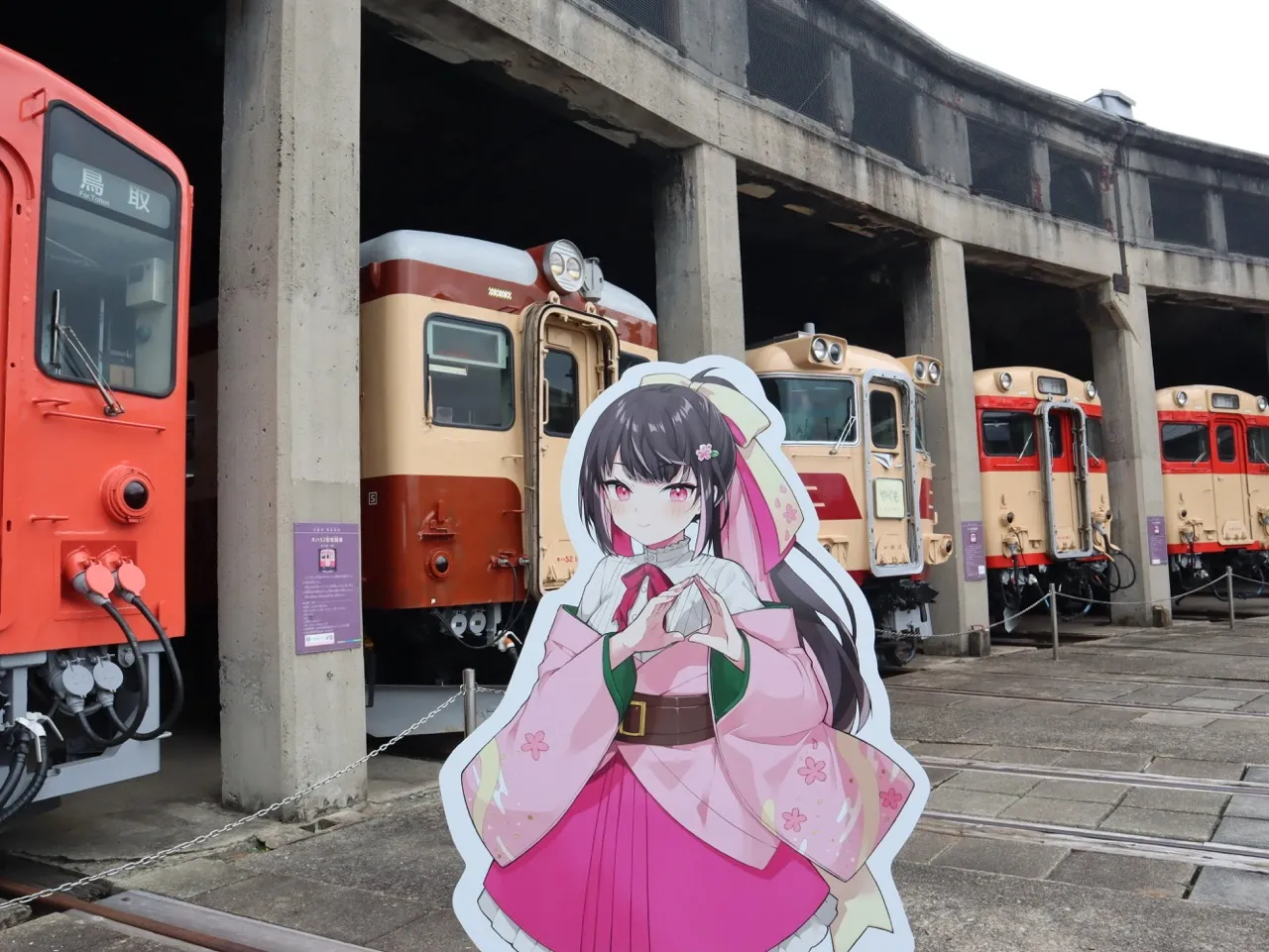 撮影イメージ画像