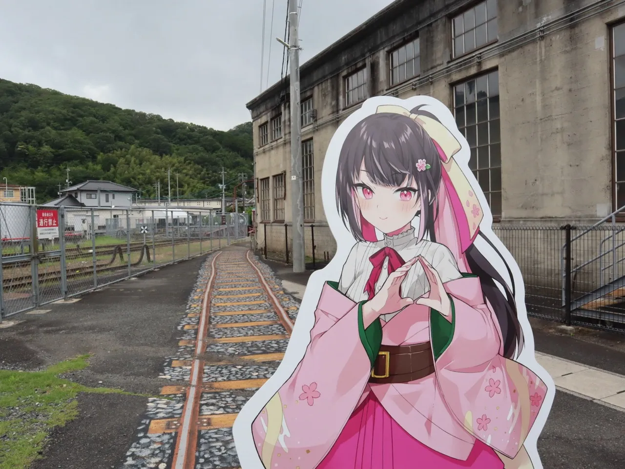 撮影イメージ画像