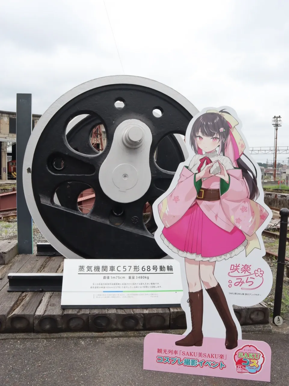 撮影イメージ画像
