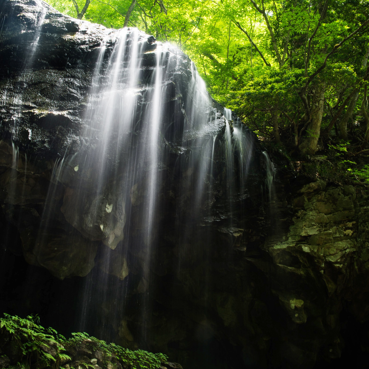 岩井滝・高清水トレイル | ふるさとおこしプロジェクト