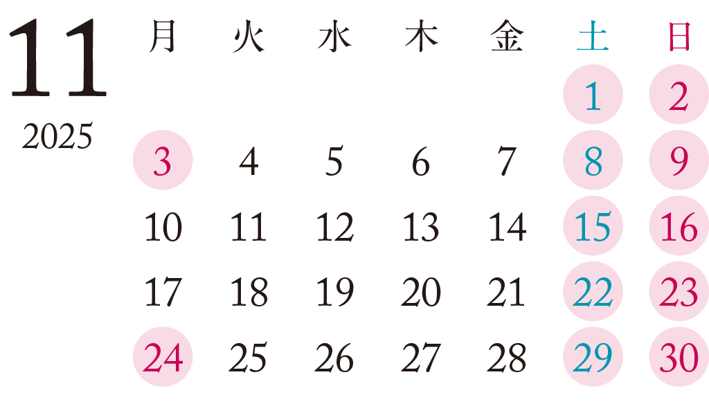 2025年11月