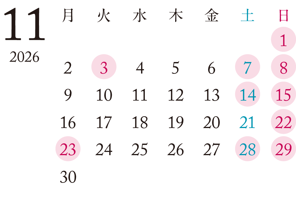 2026年11月